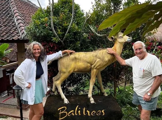 Balitrees Retreats *