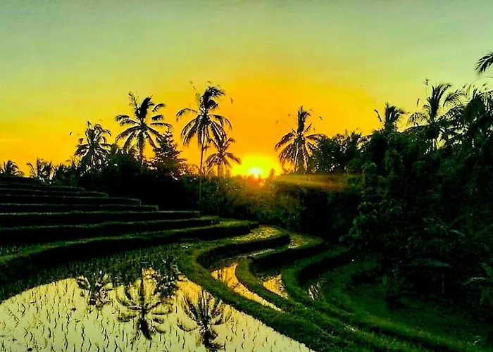 Balitrees Retreats Hotel Selemadeg (Bali)